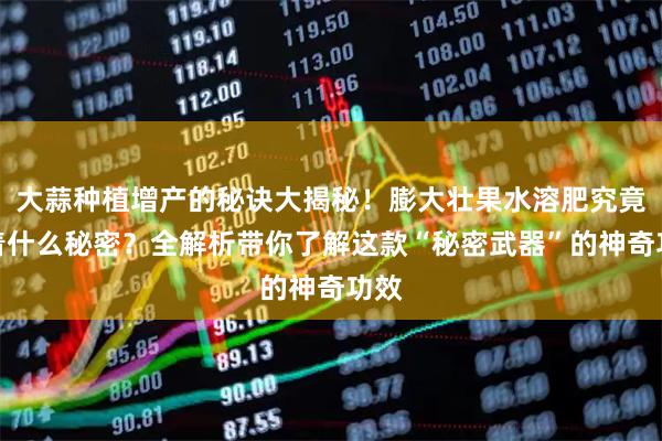 大蒜种植增产的秘诀大揭秘！膨大壮果水溶肥究竟藏着什么秘密？全解析带你了解这款“秘密武器”的神奇功效